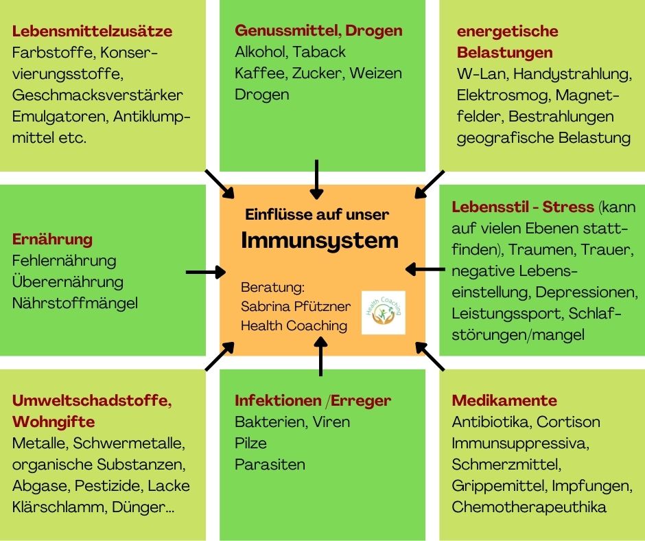 Immunsystem - was beeinflusst es? Gesundheit, Ansteckung, Viren