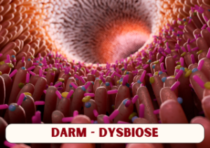 Dysbiose / Mikrobiota