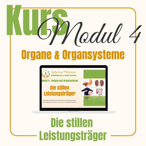 005 (Kursnummer)<br><br><b>"Organe und Organsysteme" – die stillen Leistungsträger</b><br><br> Erkenne, wie deine Organe und Körpersysteme zusammenarbeiten – und warum Gleichgewicht und Funktion die Voraussetzung für die Gesundheit sind.