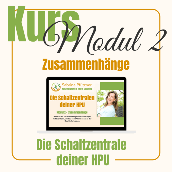 003 (Kursnummer)<br><br><b>"Zusammenhänge" - Die Schaltzentralen bei HPU/KPU</b><br><br>Verstehe die zentralen Zusammenhänge von Methylierung, Energieproduktion und Häm-Synthese. Dieses Wissen gibt dir Orientierung für alle deine weiteren Entscheidungen.